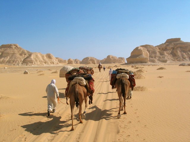 SAHARA egyptson egyptenspecialisten